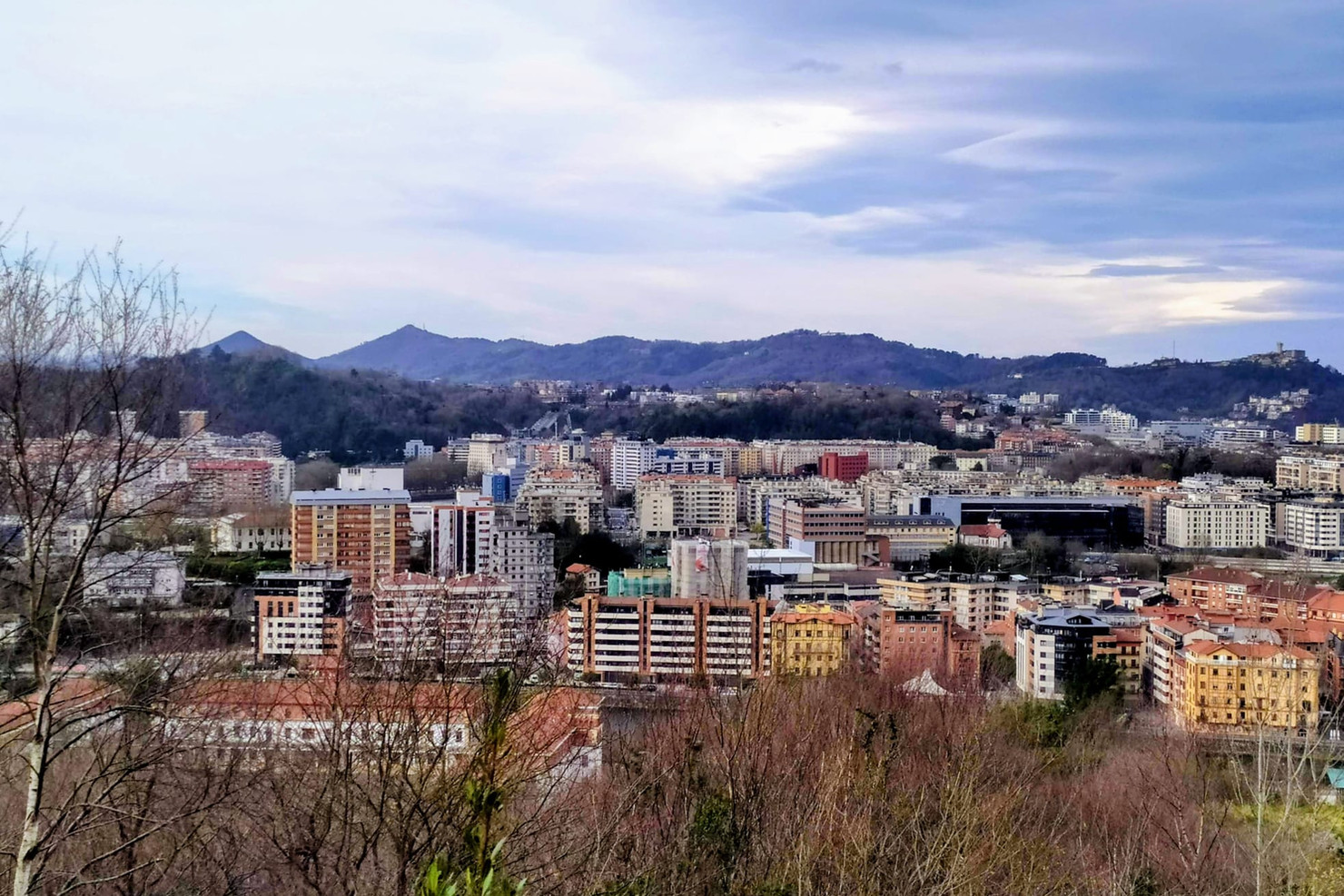 Aerial view of the Amara neighbourhood in San Sebastian
